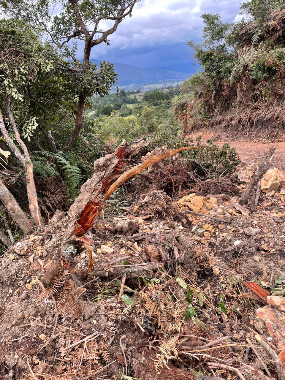 Construyen carretera en medio de reserva natural en Gachantivá / Cortesía.