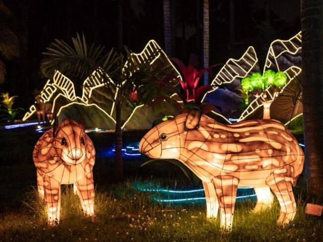 Evento MajestuOSOS - Foto: Alcaldía Bogotá