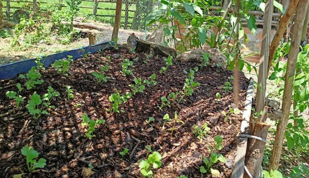 También se realiza un seguimiento de cultivos y sistemas de riego