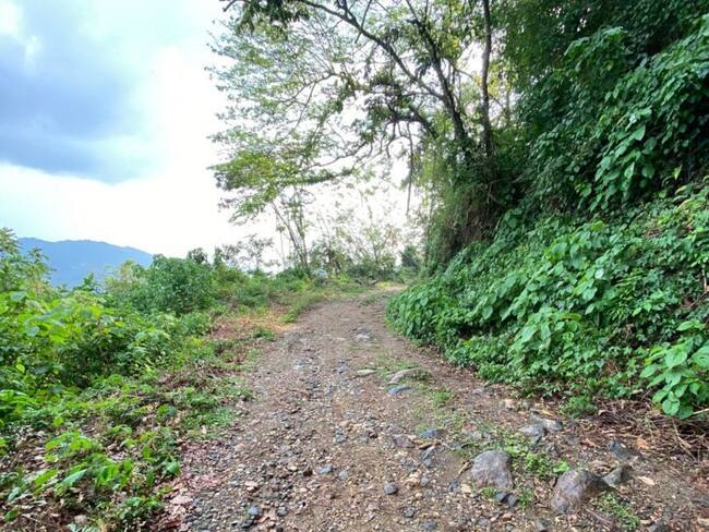 Mejoramiento de vías terciarias.