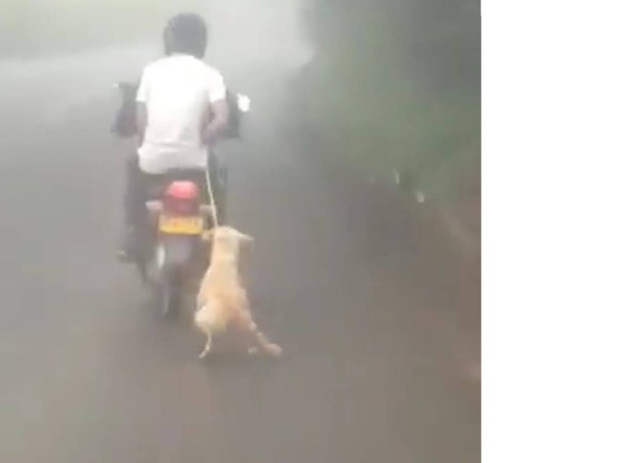 Un perro fue atado a una motocicleta y arrastrado por vías de Risaralda
