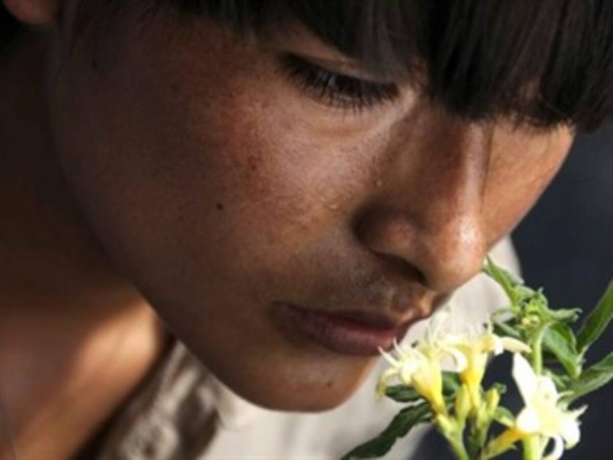 'El secreto de sus ojos' y 'La teta asustada' logran nominaciones a los Oscar