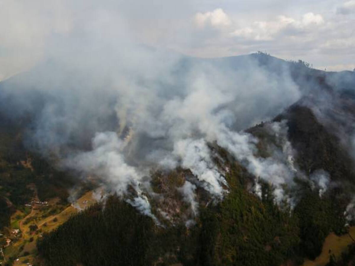 Siguen activos 10 incendios forestales en Colombia