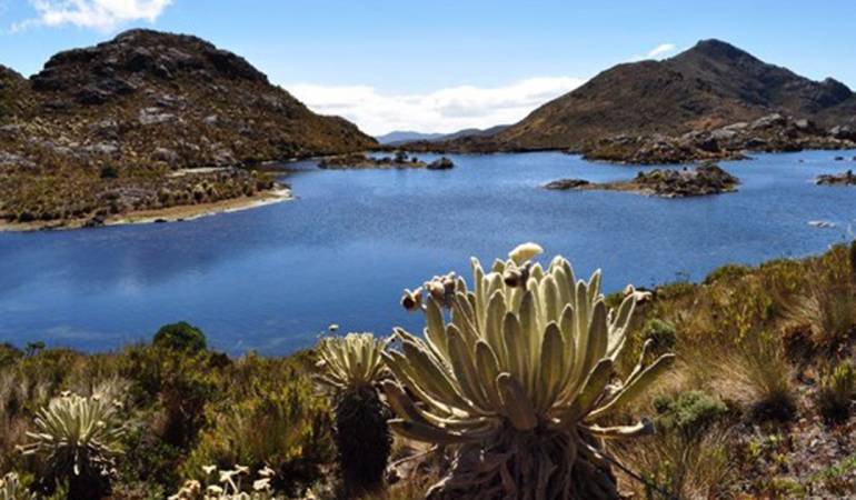 Páramo de Santurbán