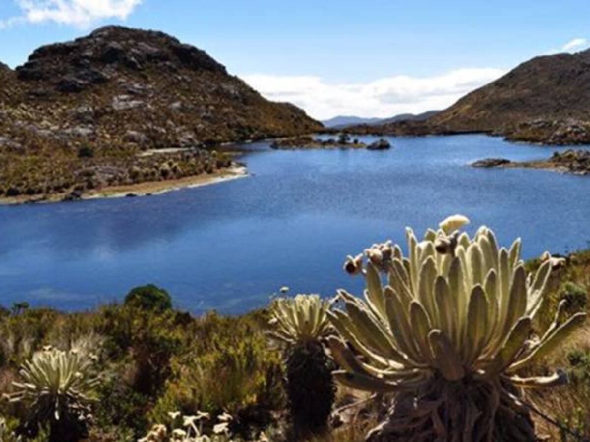 Ejército se ubicaría en el páramo de Santurbán para evitar minería ilegal