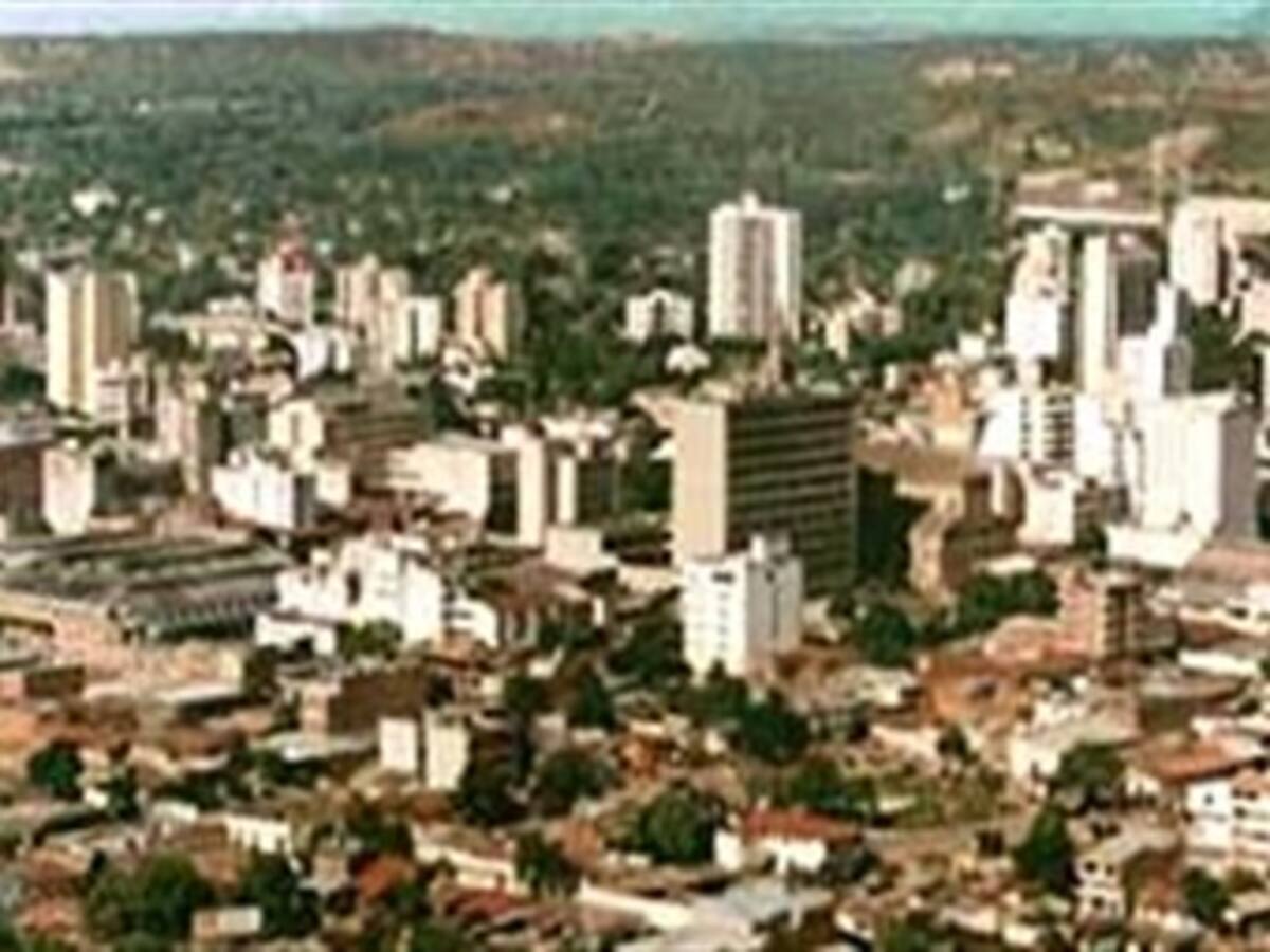 En Neiva siembran cerca de 1000 árboles