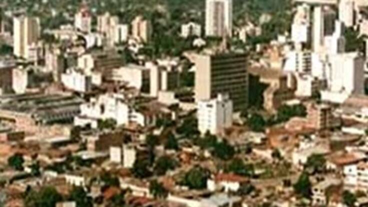 En Neiva siembran cerca de 1000 árboles