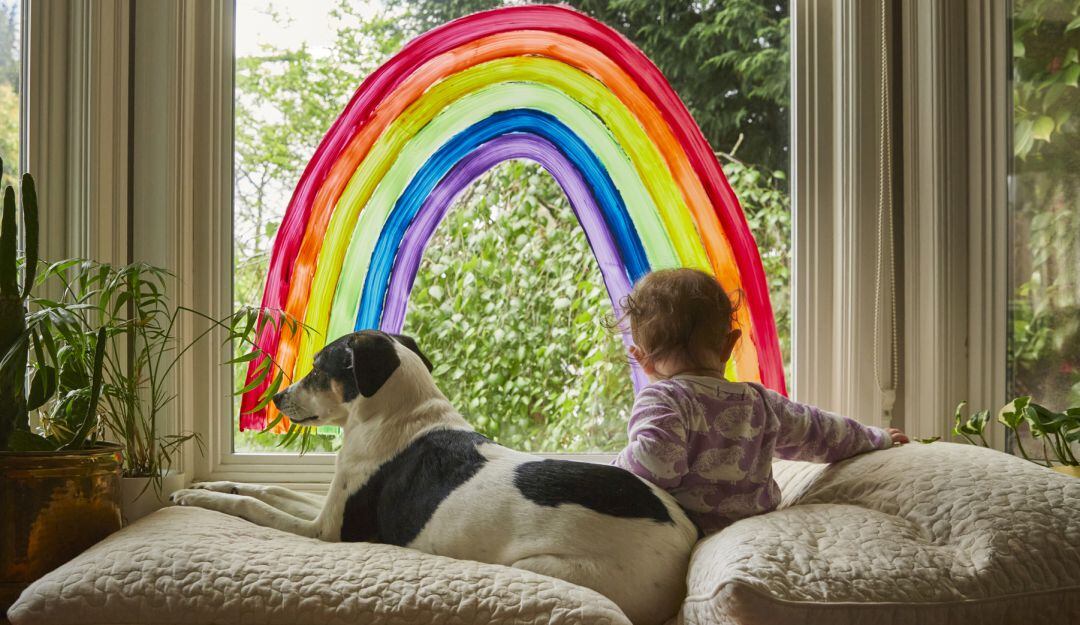 Imagen de referencia