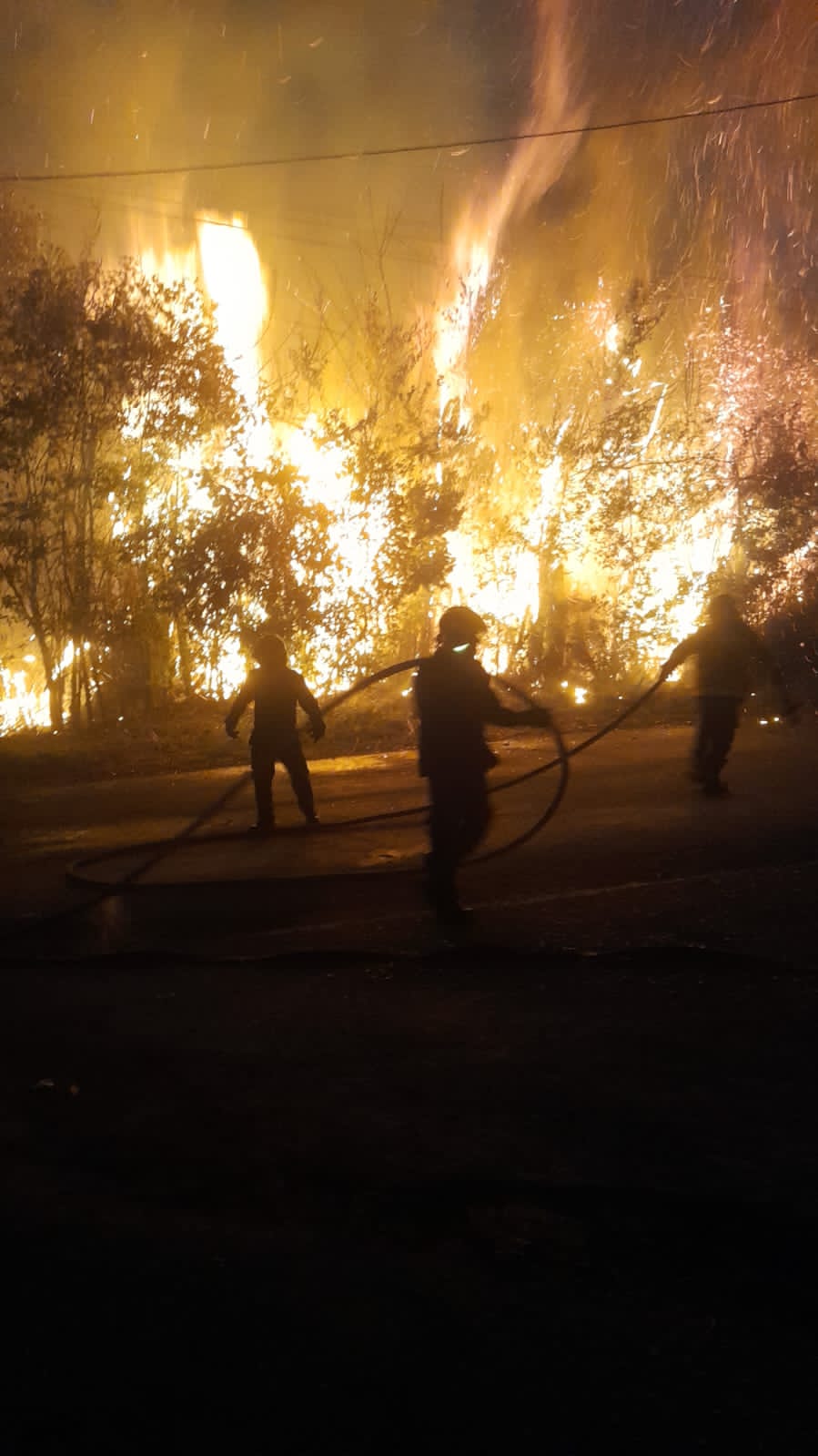 Foto: Cuerpo Oficial de Bomberos de Pereira