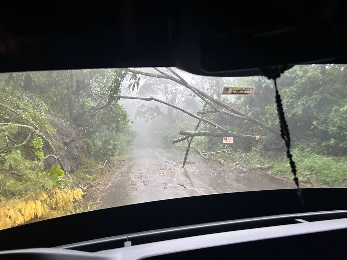 Estas son las afectaciones que ha dejado la lluvia en Santander
