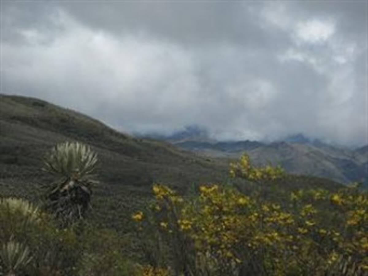 Reserva campesina en Sumapaz estaría bajo el control de terroristas: Uribe