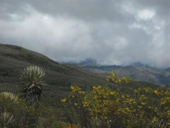 Reserva campesina en Sumapaz estaría bajo el control de terroristas: Uribe