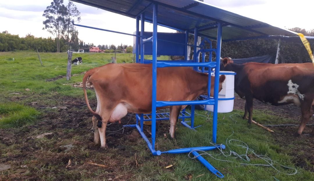 Caseta de ordeño en Chía, Cundinamarca.