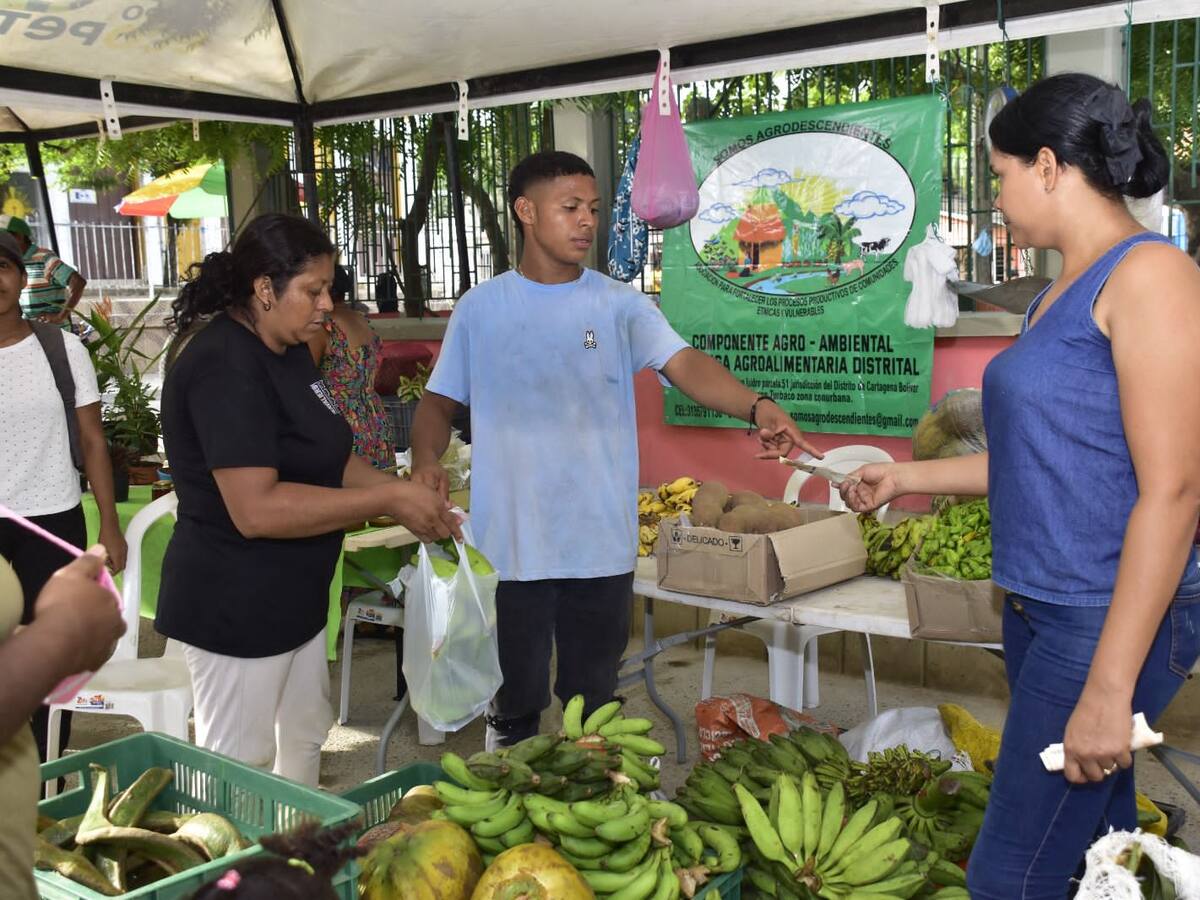 El jueves, aprovecha el último mercado campesino navideño del PES- Pedro Romero