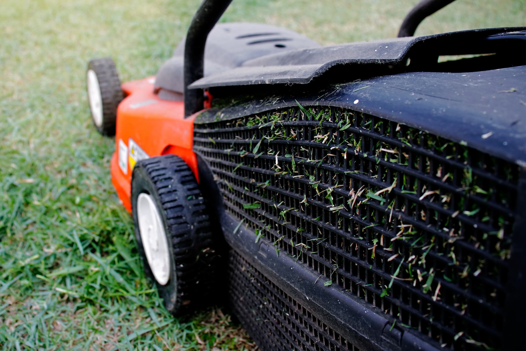 En diálogo con La W, Rubiel Londoño contó que la guadaña es un elemento fundamental para su trabajo en el campo.