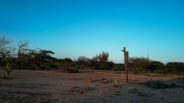 Con poemas, comunidad de Yotojoroshi en La Guajira celebró “la llegada del agua”