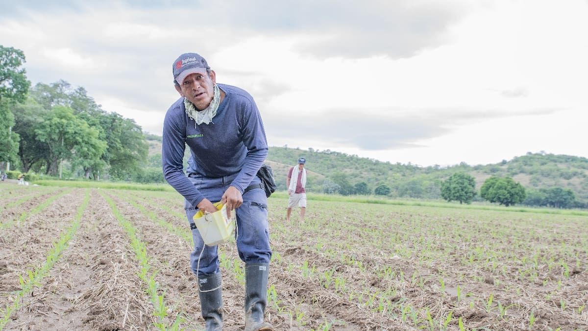En el Huila, créditos disponibles para pequeños productores y mujeres rurales