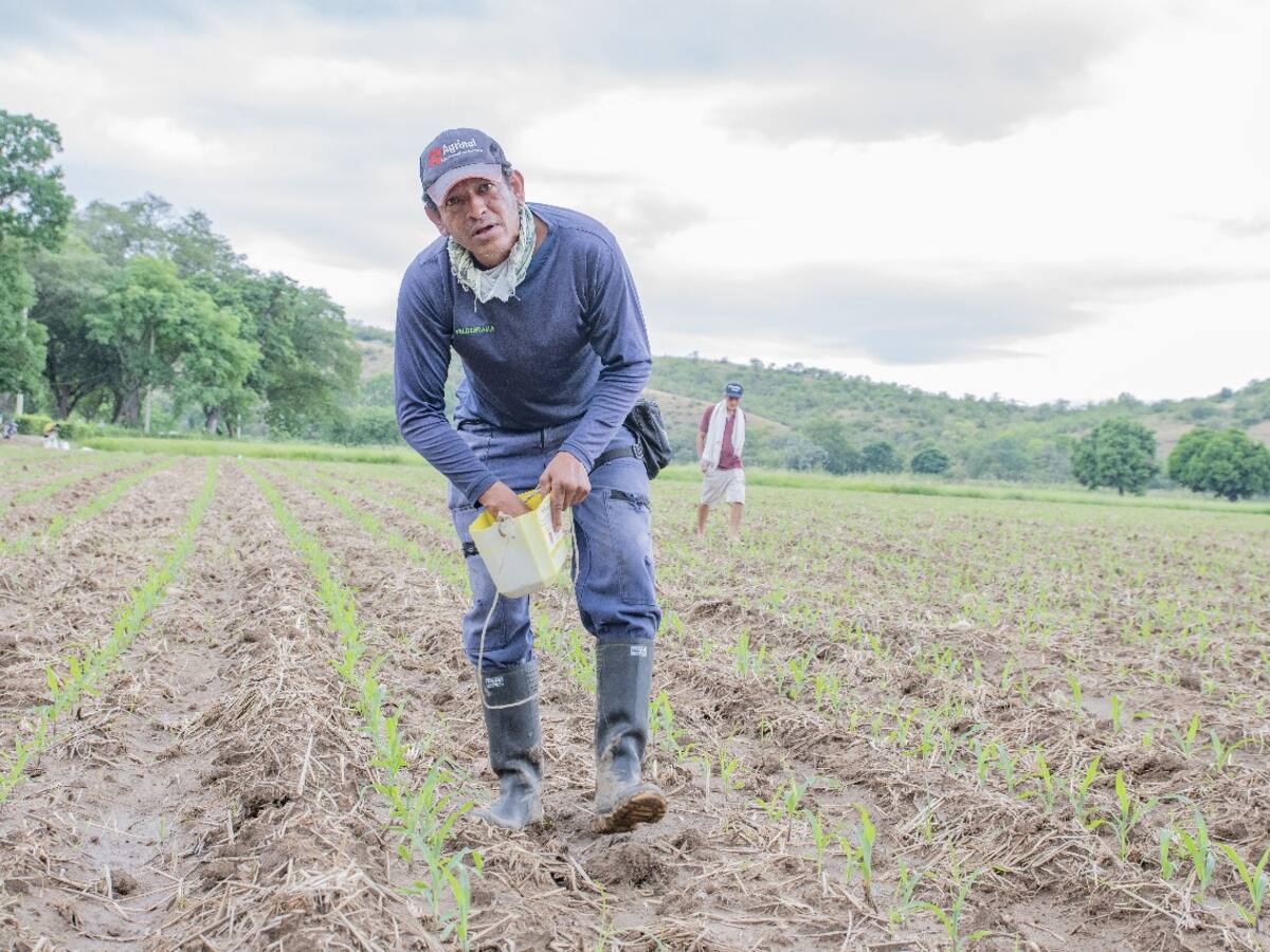 En el Huila, créditos disponibles para pequeños productores y mujeres rurales