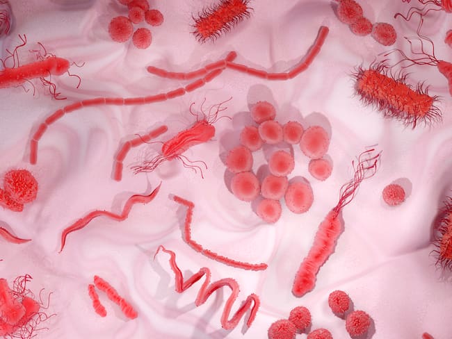 Bacteria, ilustración  - Getty Images