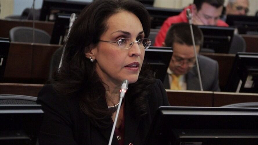 CNE mantiene viva candidatura presidencial de Viviane Morales. Foto: