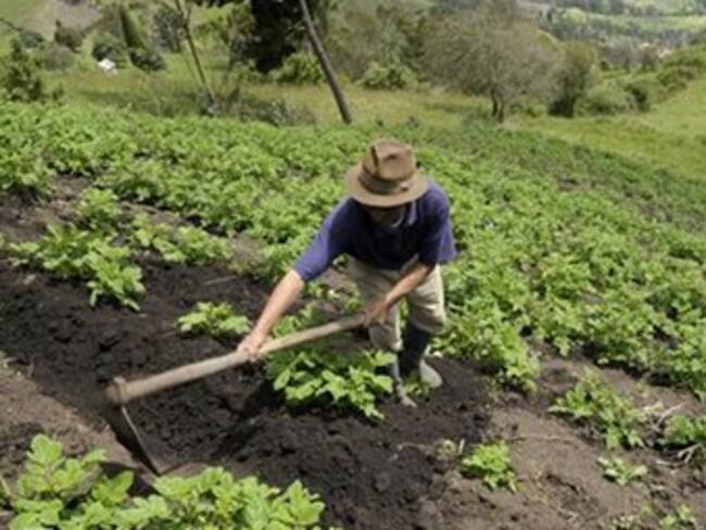 Desde 1985 no se había llegado tan lejos en los intentos por alcanzar la paz: El País