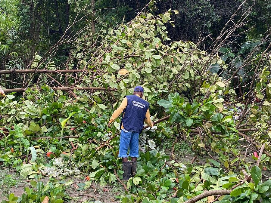 Alcaldía de Cartagena
