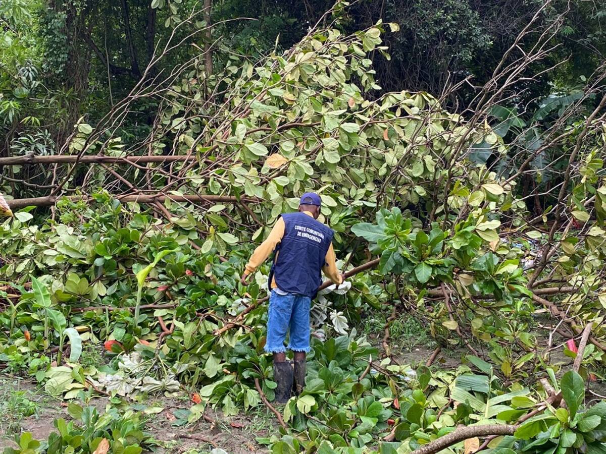 Una vivienda destechada y un árbol caído dejaron fuertes lluvias en Cartagena
