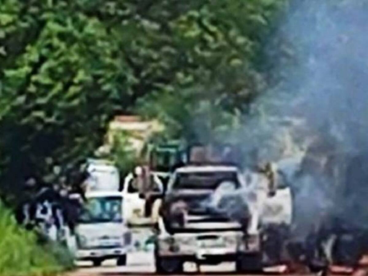 Comisión de Derechos Humanos pide acciones al Gobierno por paro armado