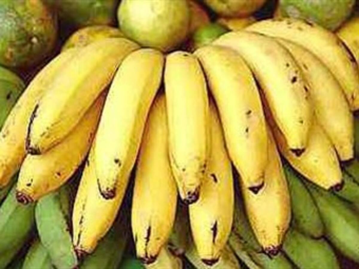 Unión Europea y 11 países latinoamericanos formalizan el final de la "guerra del banano"
