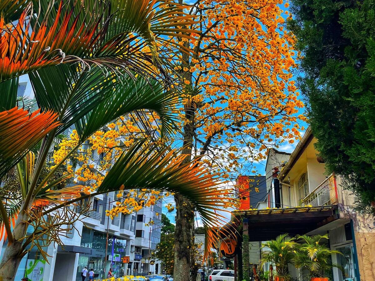 Jueves 30 de enero, las noticias más importantes de Armenia y Quindío