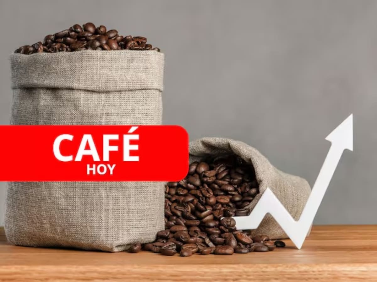 No se puede hablar de bonanza cafetera por los buenos precios del grano: Cafeteros Quindío