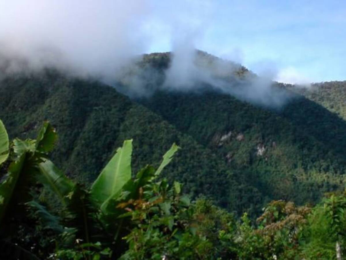 Con drones vigilaran los Farallones de Cali.