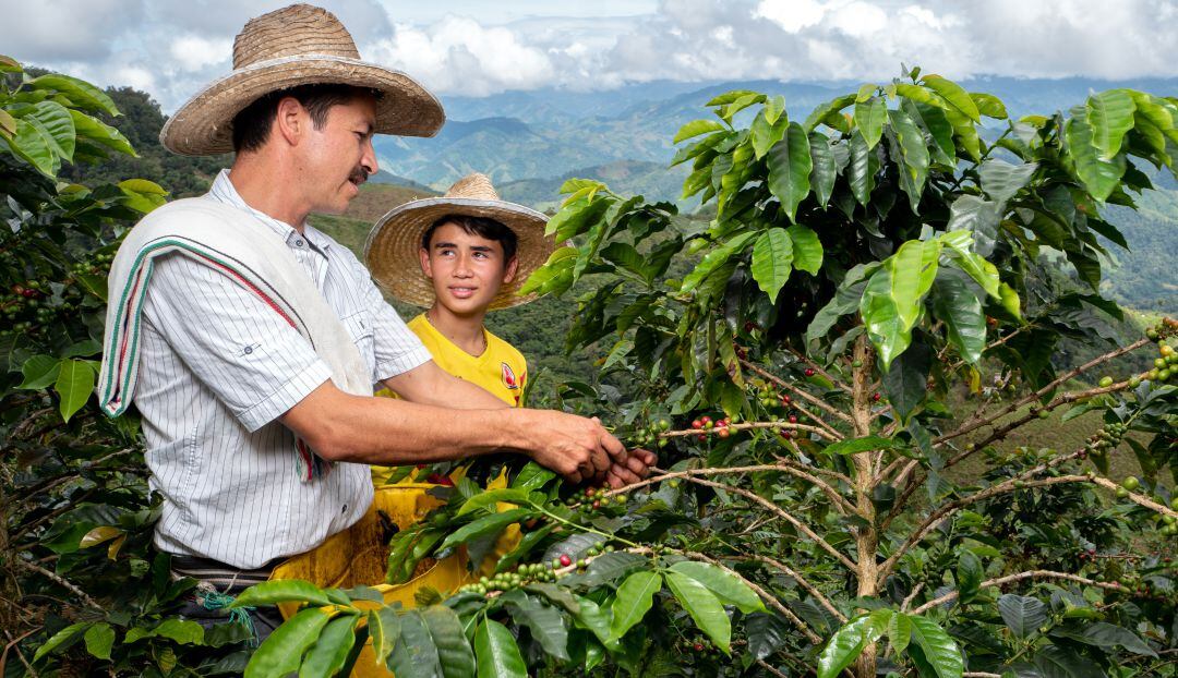 Instalación Congreso Cafeteri
