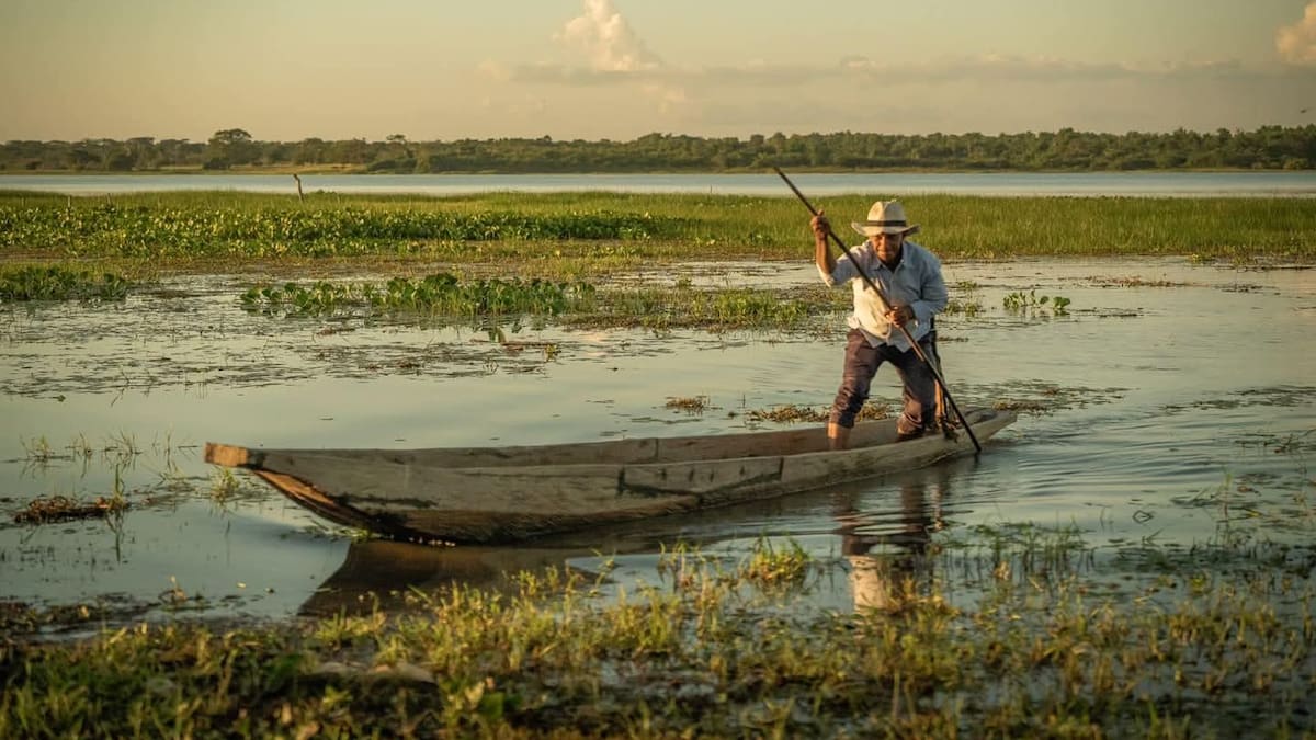 La ANT asegura 9.800 hectáreas del complejo de Zapatosa para el uso de campesinos y pescadores