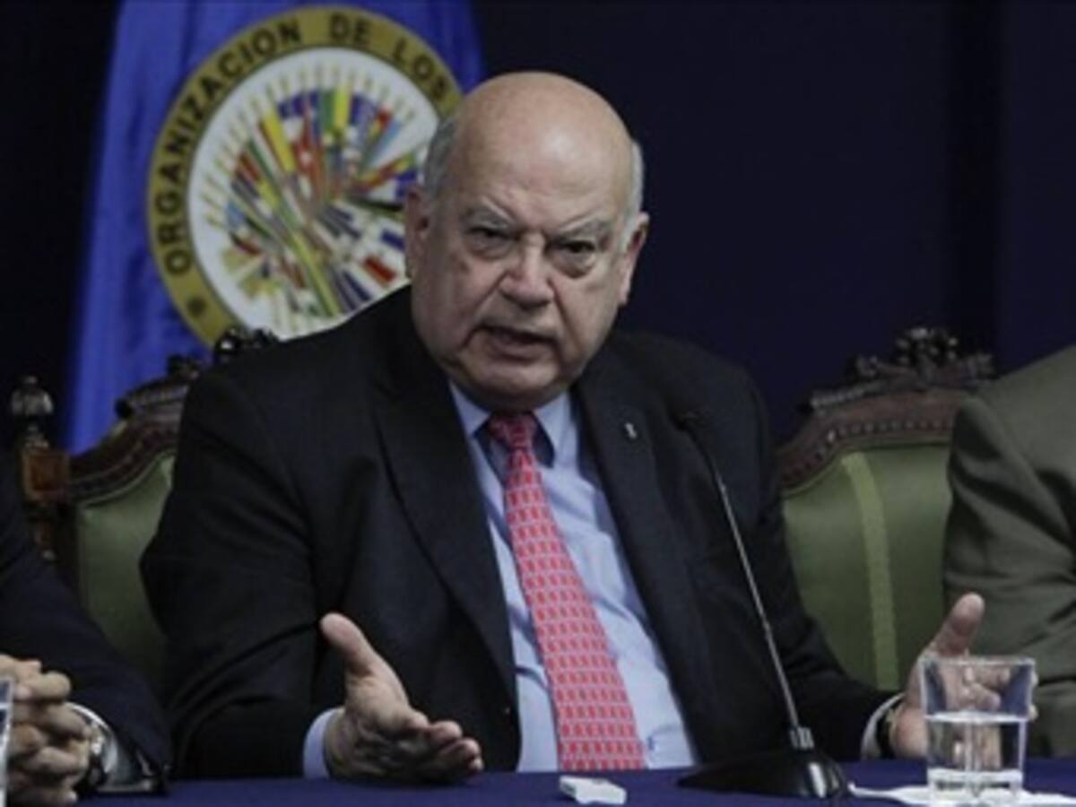 Medidas cautelares se conceden para hechos irreversibles: Insulza