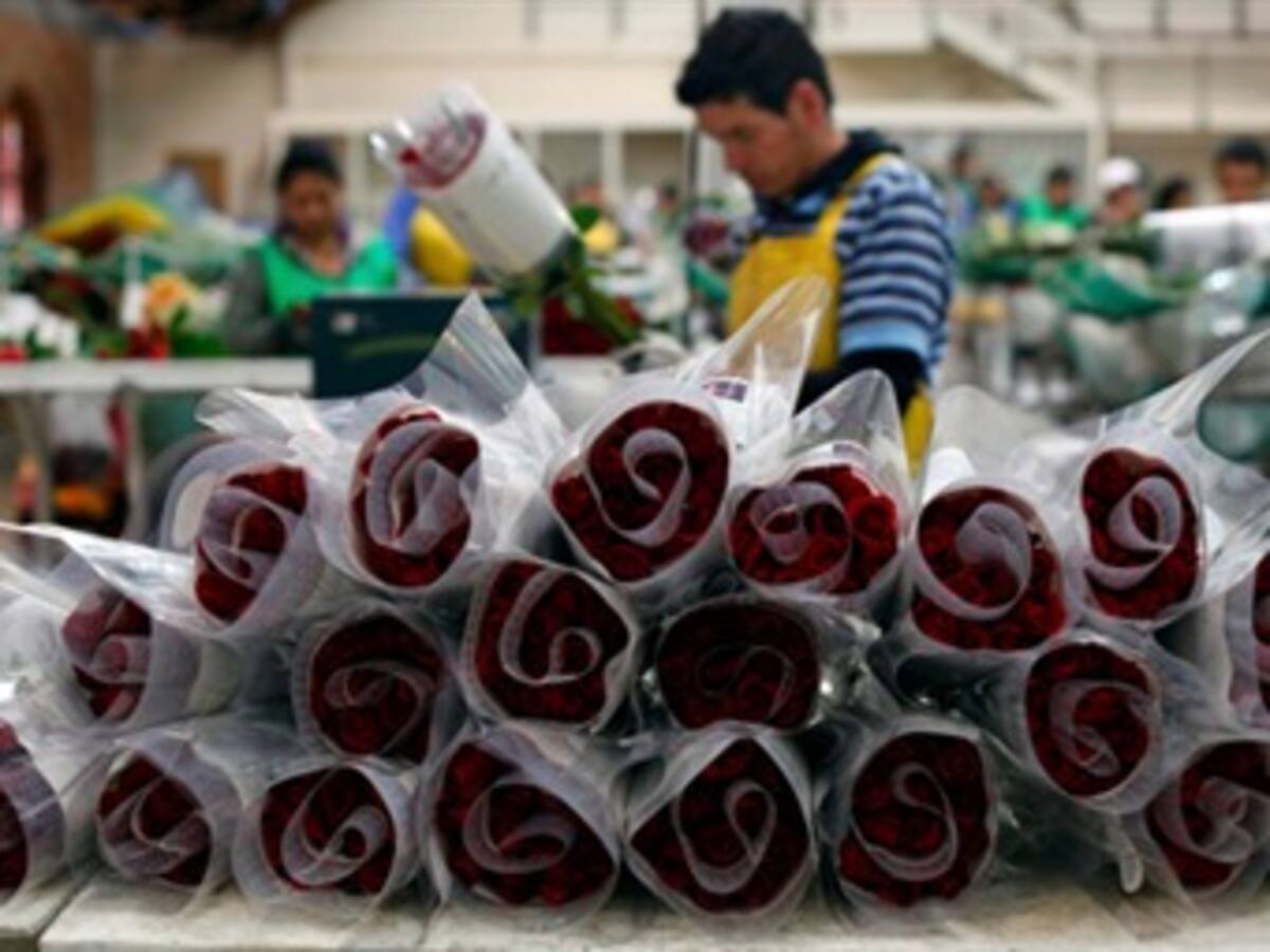 Impulsarán venta de flores en aeropuertos colombianos