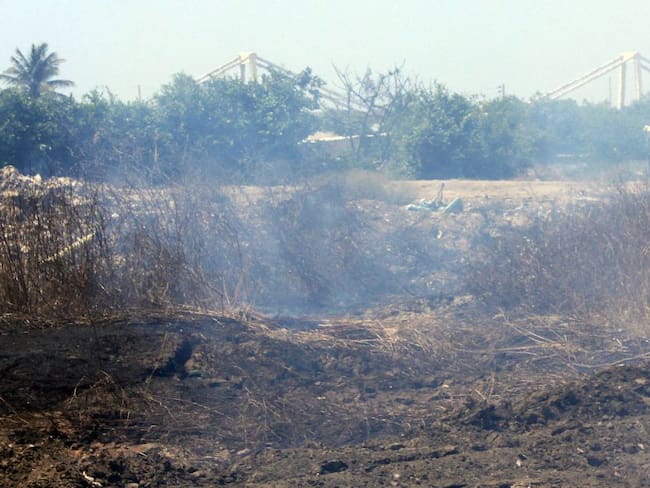 Alerta en Pereira por posibles incendios de capa vegetal