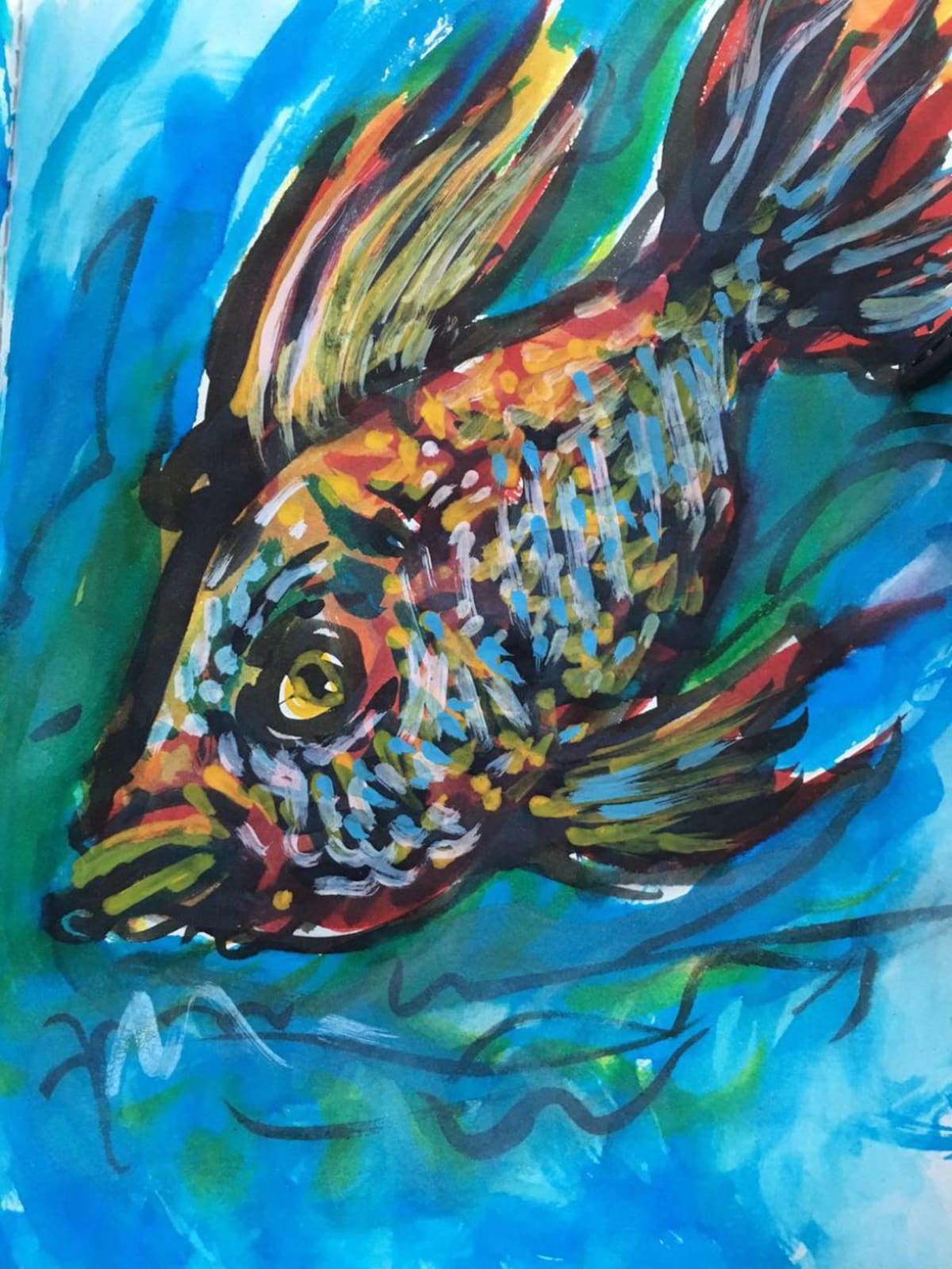 Peces y aves hacen explotar toda la capacidad de color de Santiago en estas propuestas dignas de impresión.