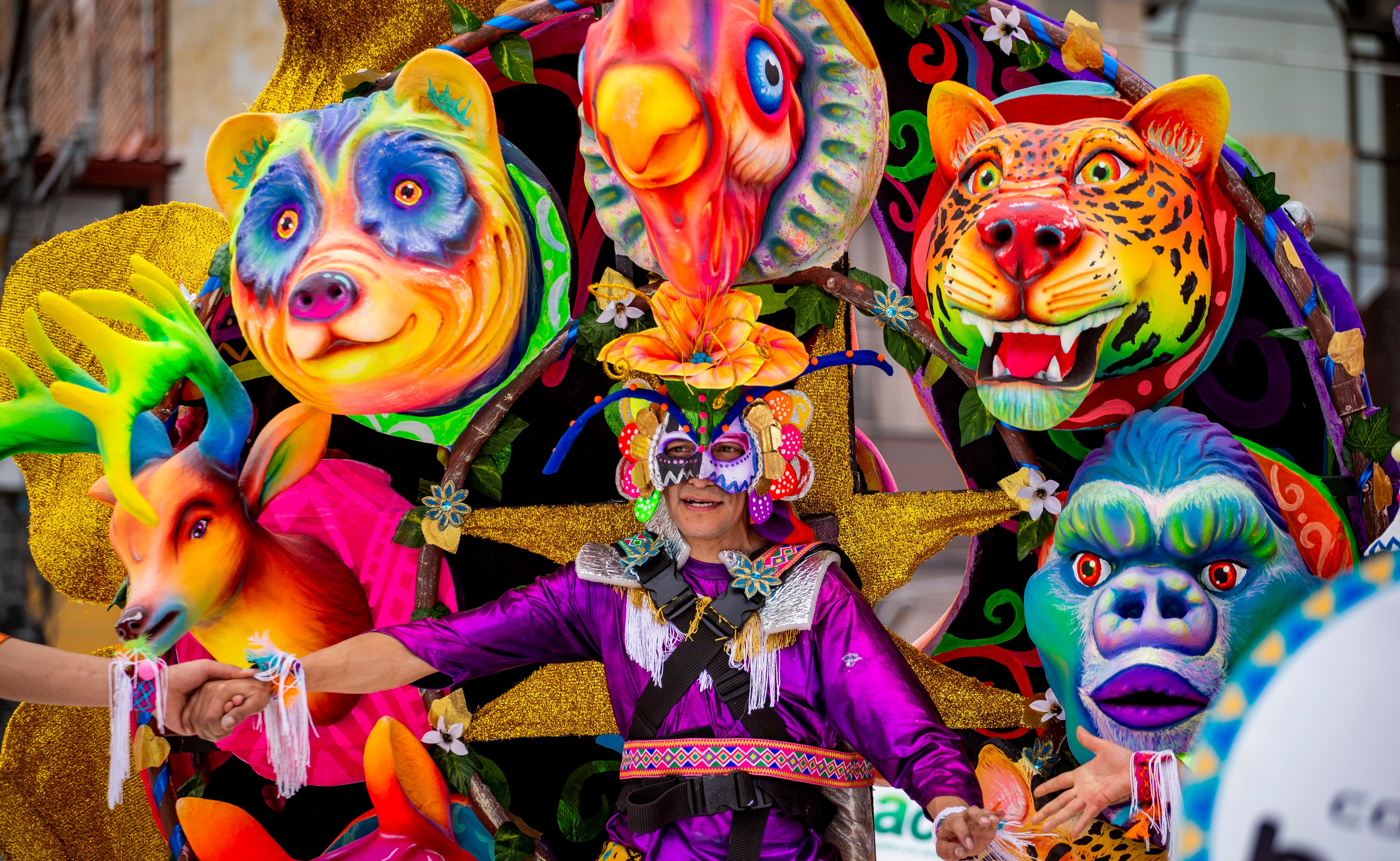 Carnaval de Negros y Blancos, Pasto - Colprensa