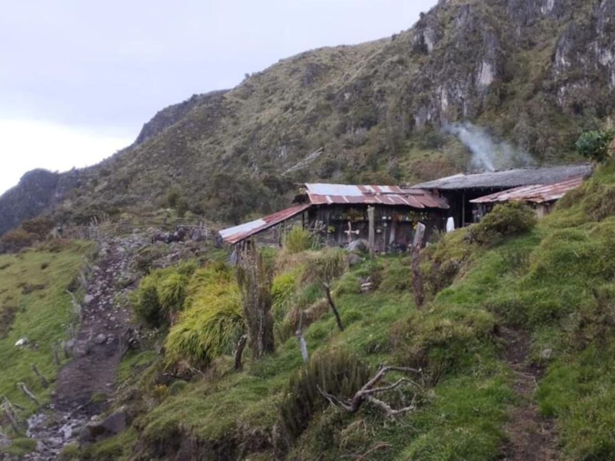 Más de mil hectáreas afectadas en Risaralda por ganadería ilegal en PNN Los Nevados