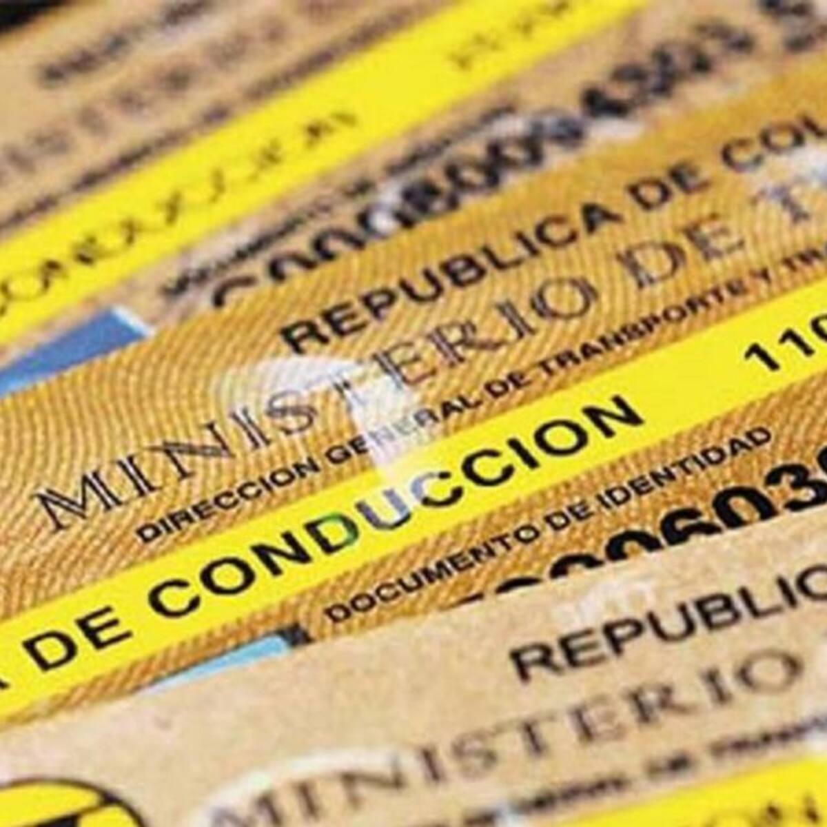 Desarticulan organizaión que expedía licencias de conducción ilegales