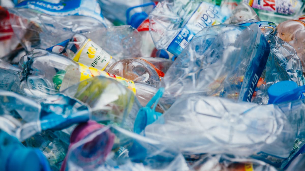 Reducir la contaminación por plásticos de un solo uso: el panorama ecológico en Colombia