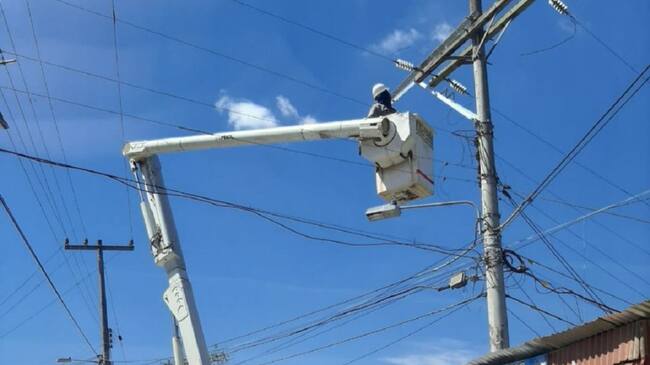 Mantenimientos y mejoras en redes eléctricas de Cartagena y Bolívar