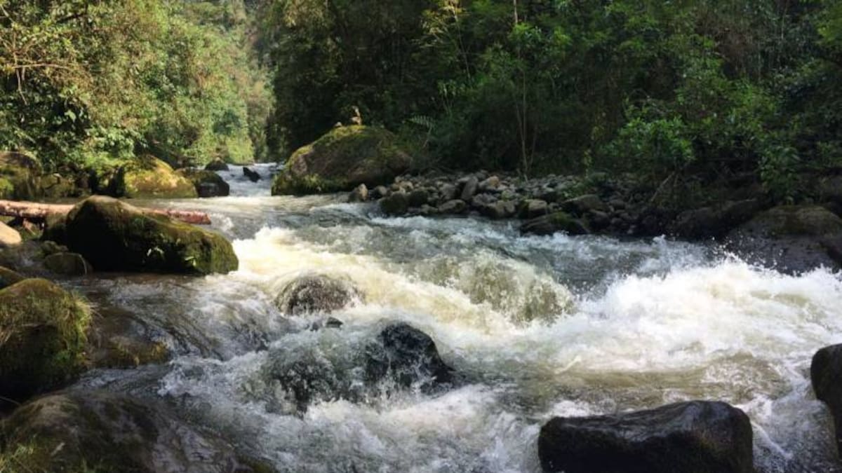 Más de $270.000 millones para el saneamiento de los ríos Otún y Consota