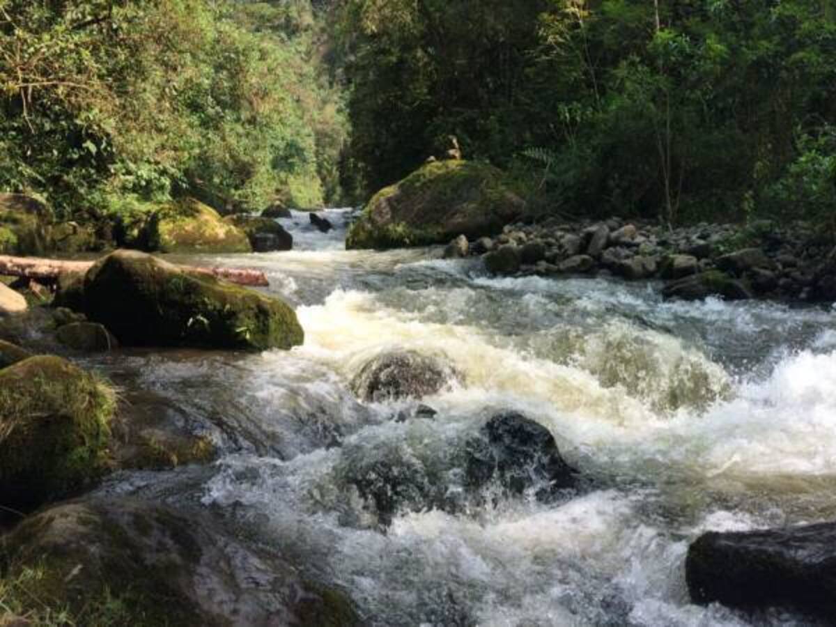 Más de $270.000 millones para el saneamiento de los ríos Otún y Consota