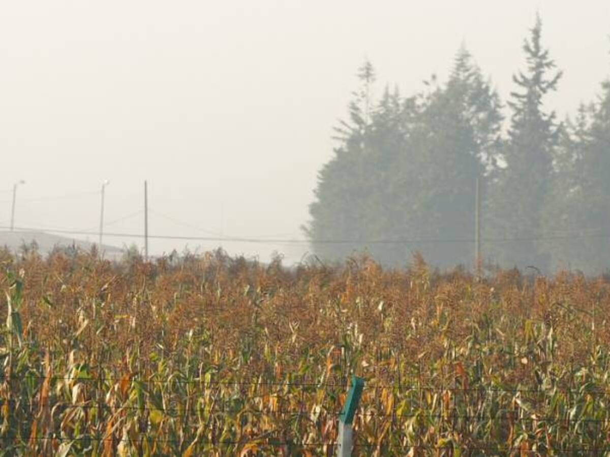 Cundinamarca: entre el intenso calor y las heladas