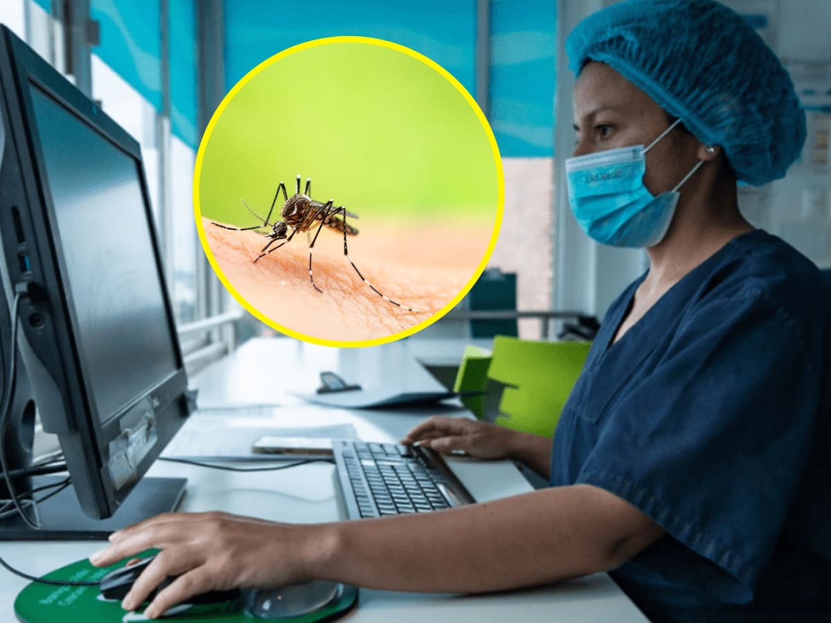 ABC de la fiebre amarrilla: emergencia sanitaria, riesgos y formas de prevención, hablan los médicos