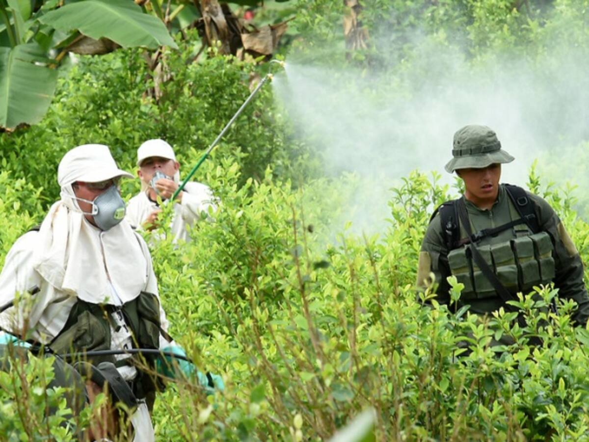 Autoridades llaman al diálogo a líderes del Catatumbo si se reanuda fumigación de cultivos ilícitos