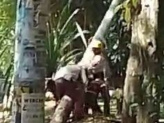 Robo de postes de Luz. Foto: Caracol Radio.