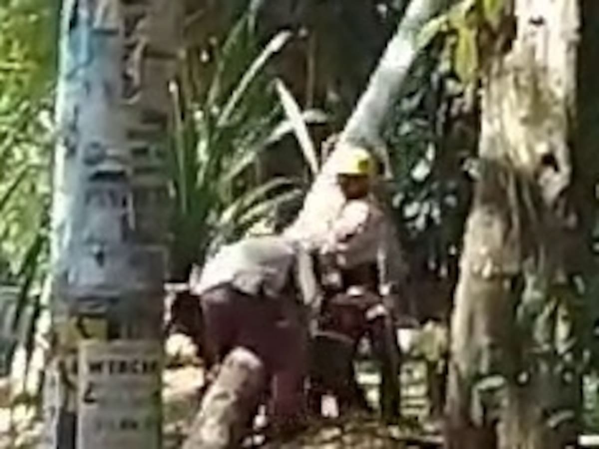 En el barrio Florida Nueva de Medellín se robaron 4 postes y dejaron sin energía la zona